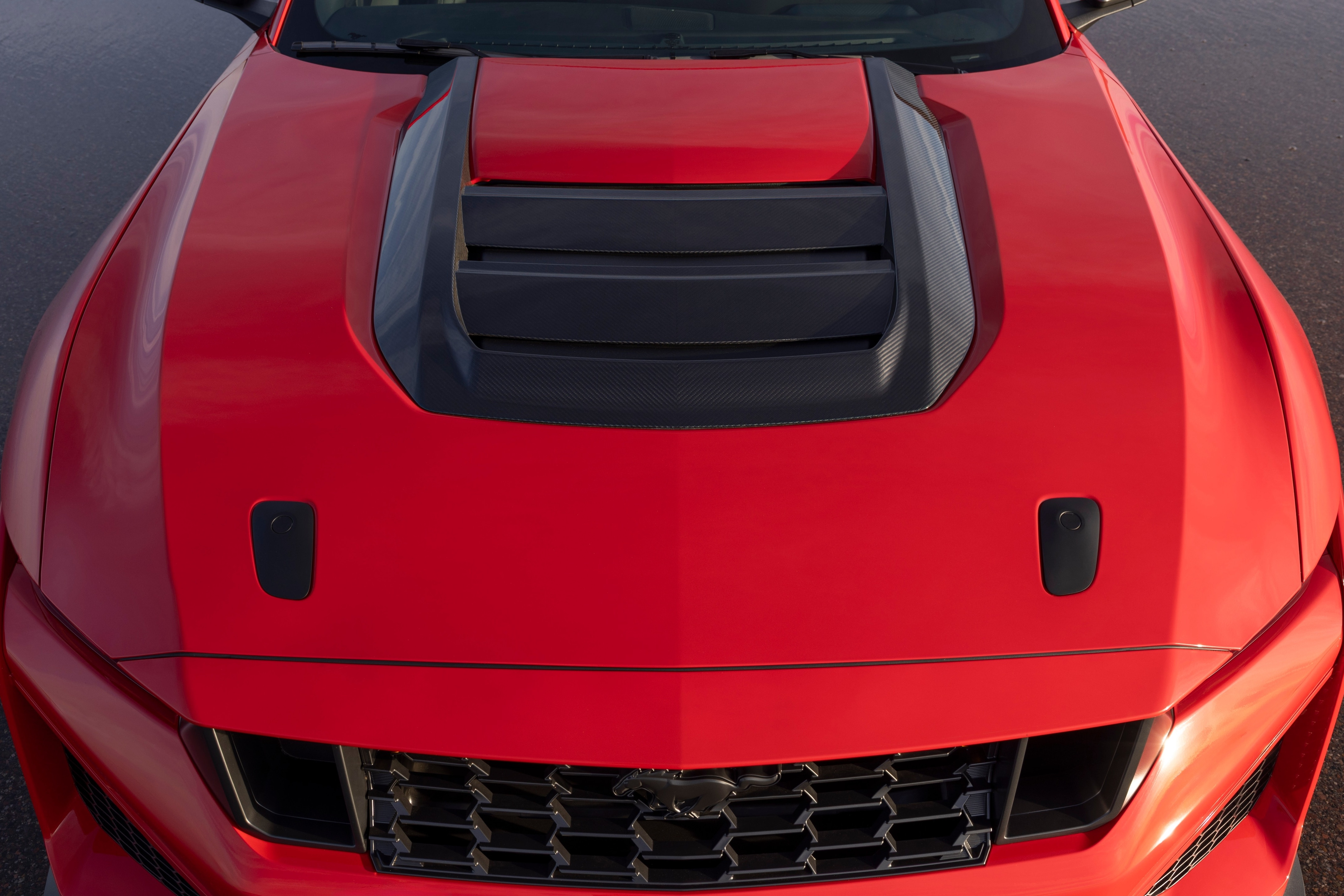 ford,  ford mustang,  mustang sc,  ford mustang sc,  mustang gtd,  my,  mustang gt anh 9