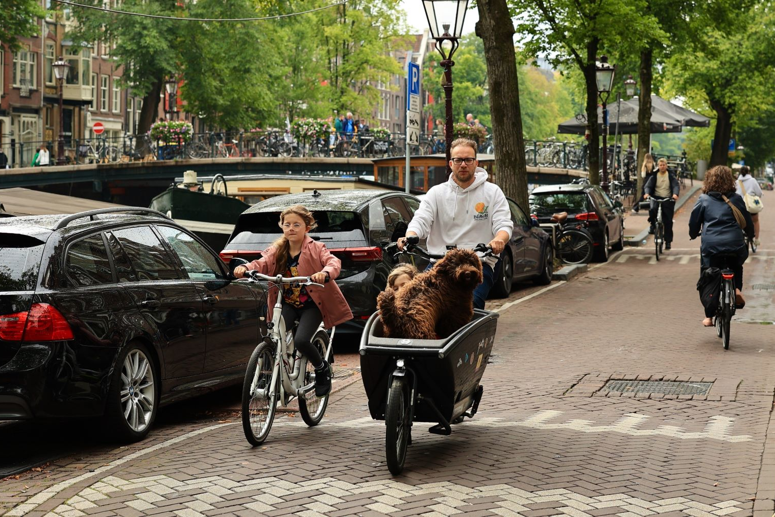 Doanh so oto moi tai Ha Lan bat ngo sut giam manh dau nam 2026 hinh anh