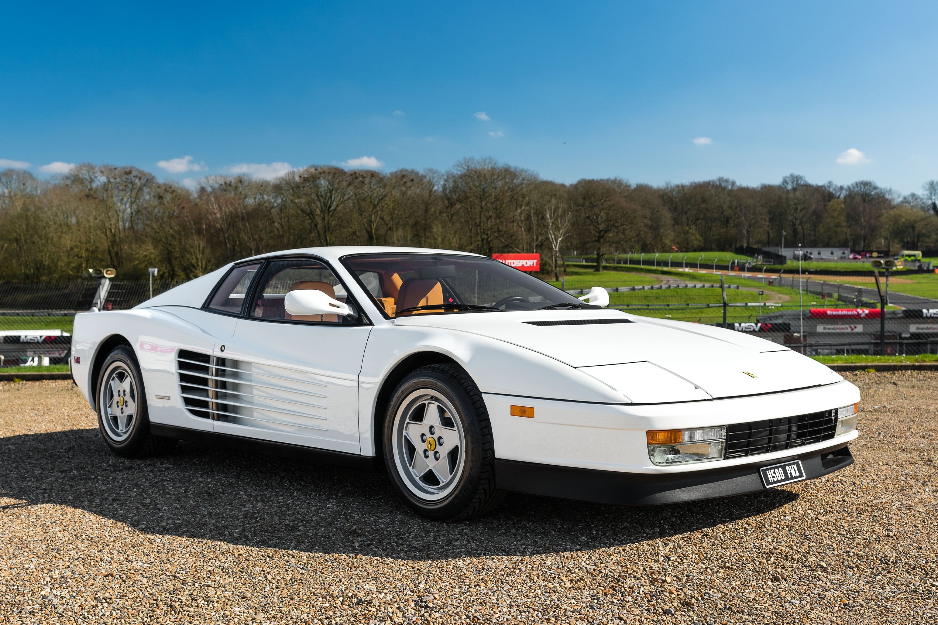 ferrari,  sieu xe,  250 gto,  ford v ferrari,  mustang,  ngua,  chien ma anh 36