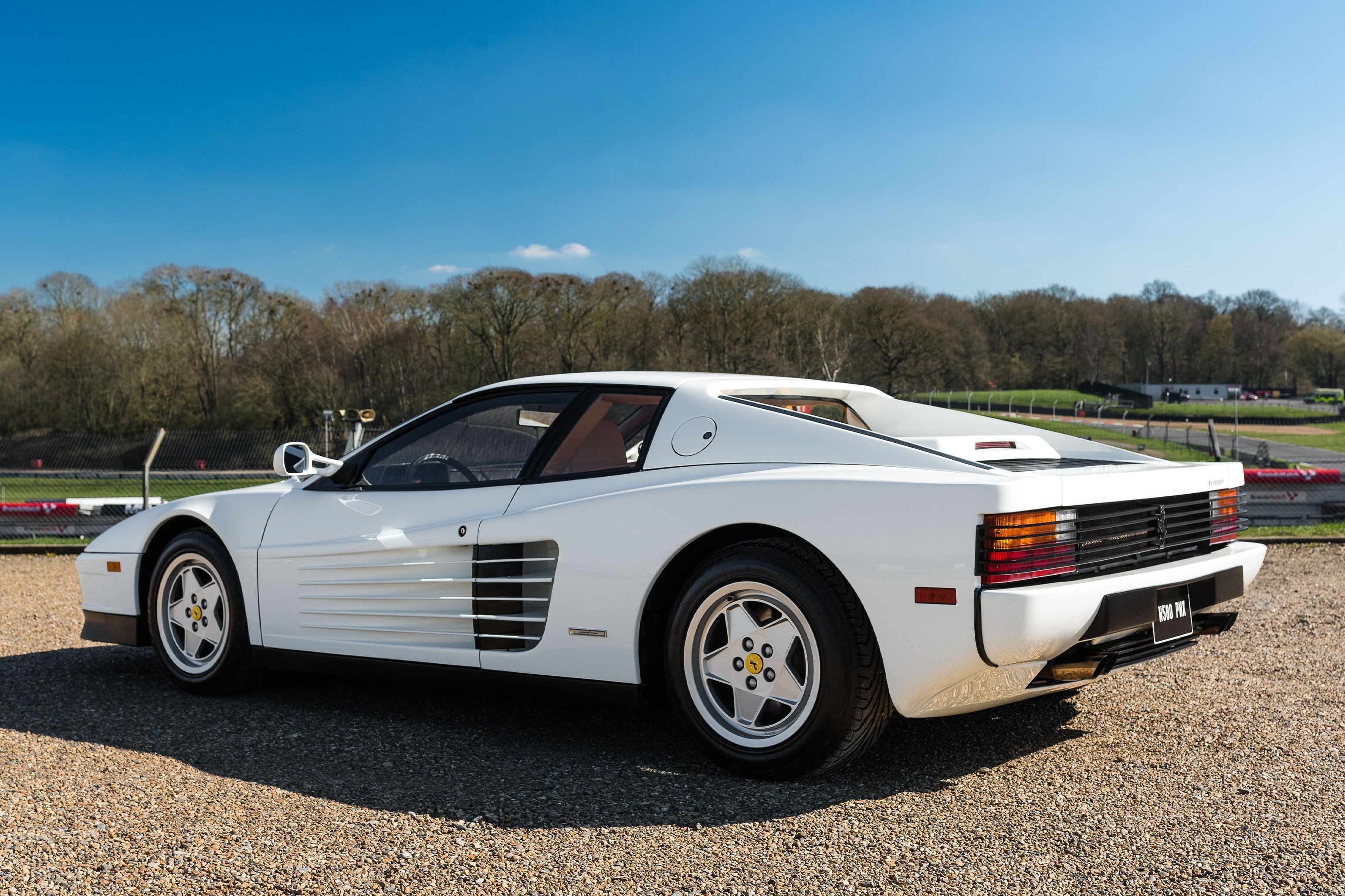 ferrari,  sieu xe,  250 gto,  ford v ferrari,  mustang,  ngua,  chien ma anh 37