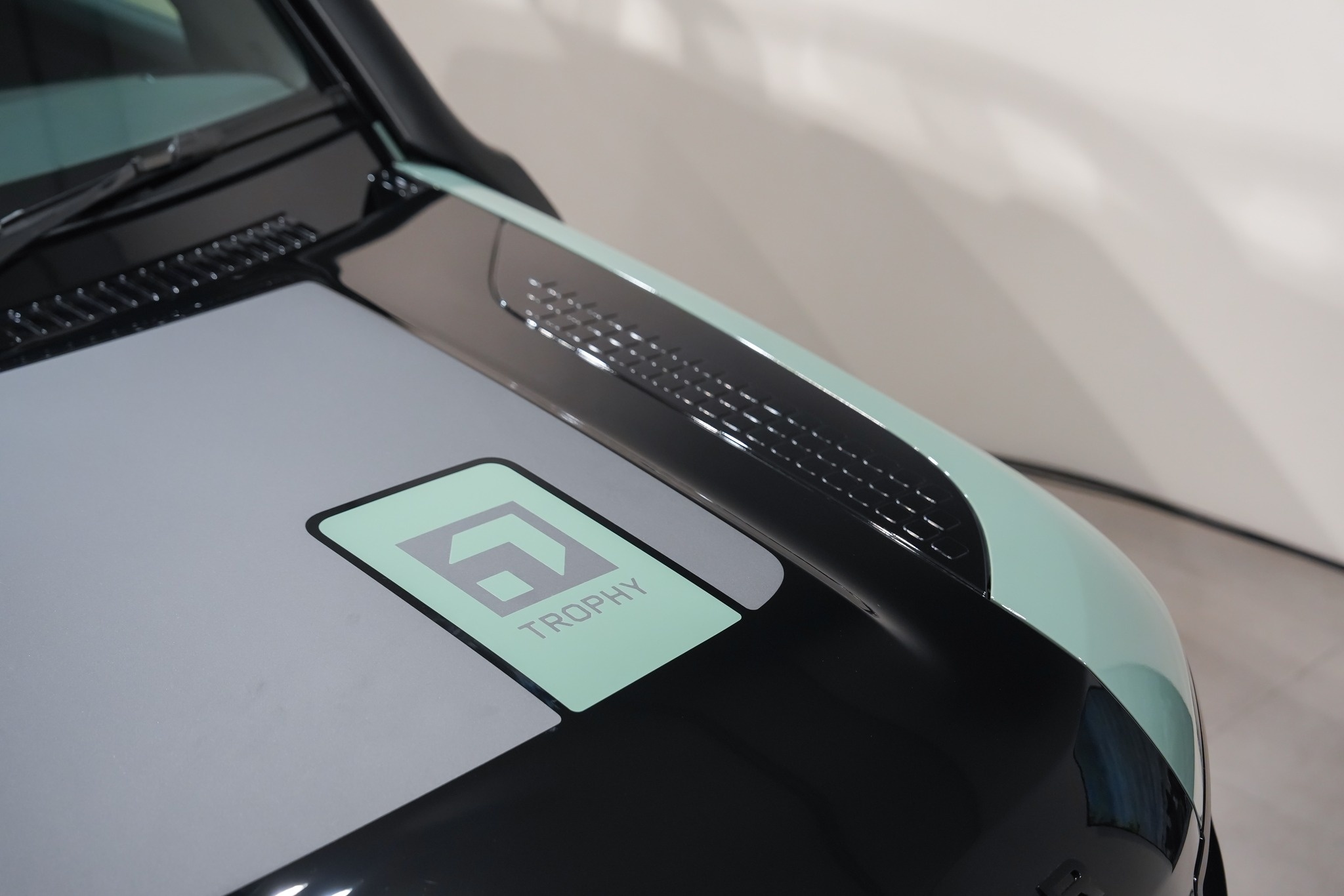 defender,  defender trophy,  defender trophy edition,  defender 110,  thai lan,  camel trophy,  suv anh 14