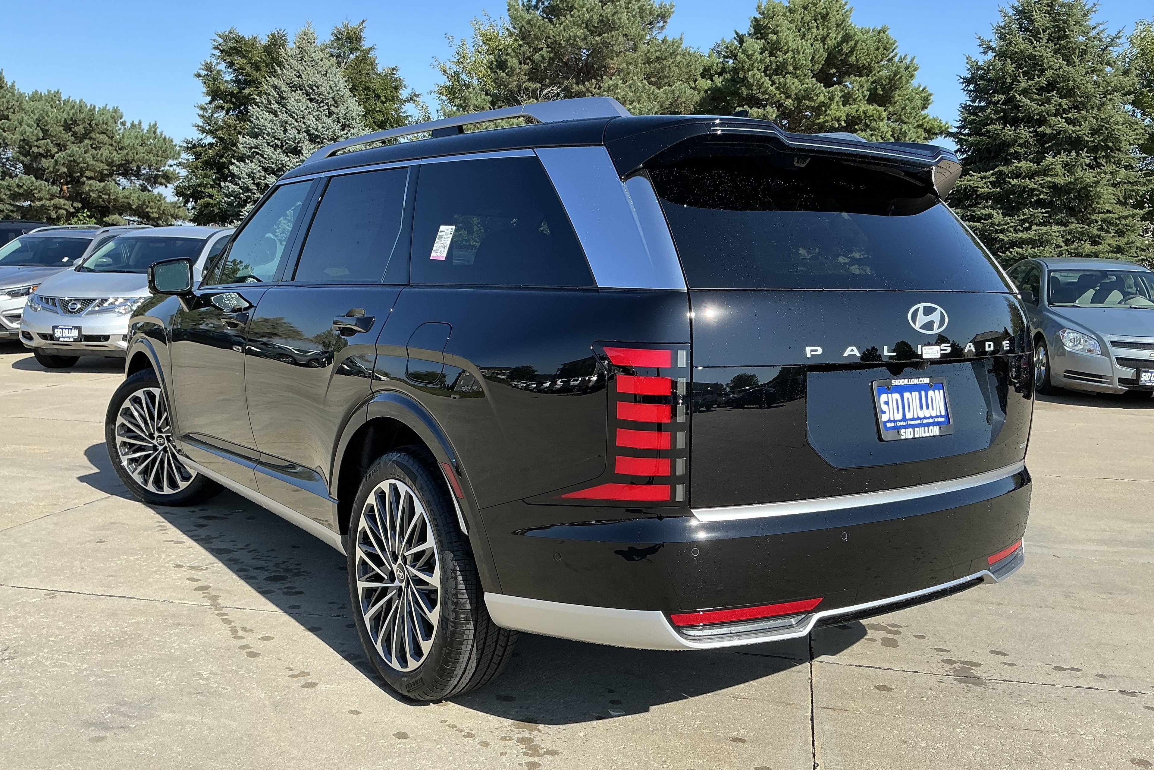 Hyundai,  Palisade,  Hyundai Palisade,  suv,  trieu hoi,  chet nguoi,  my,  canada anh 2
