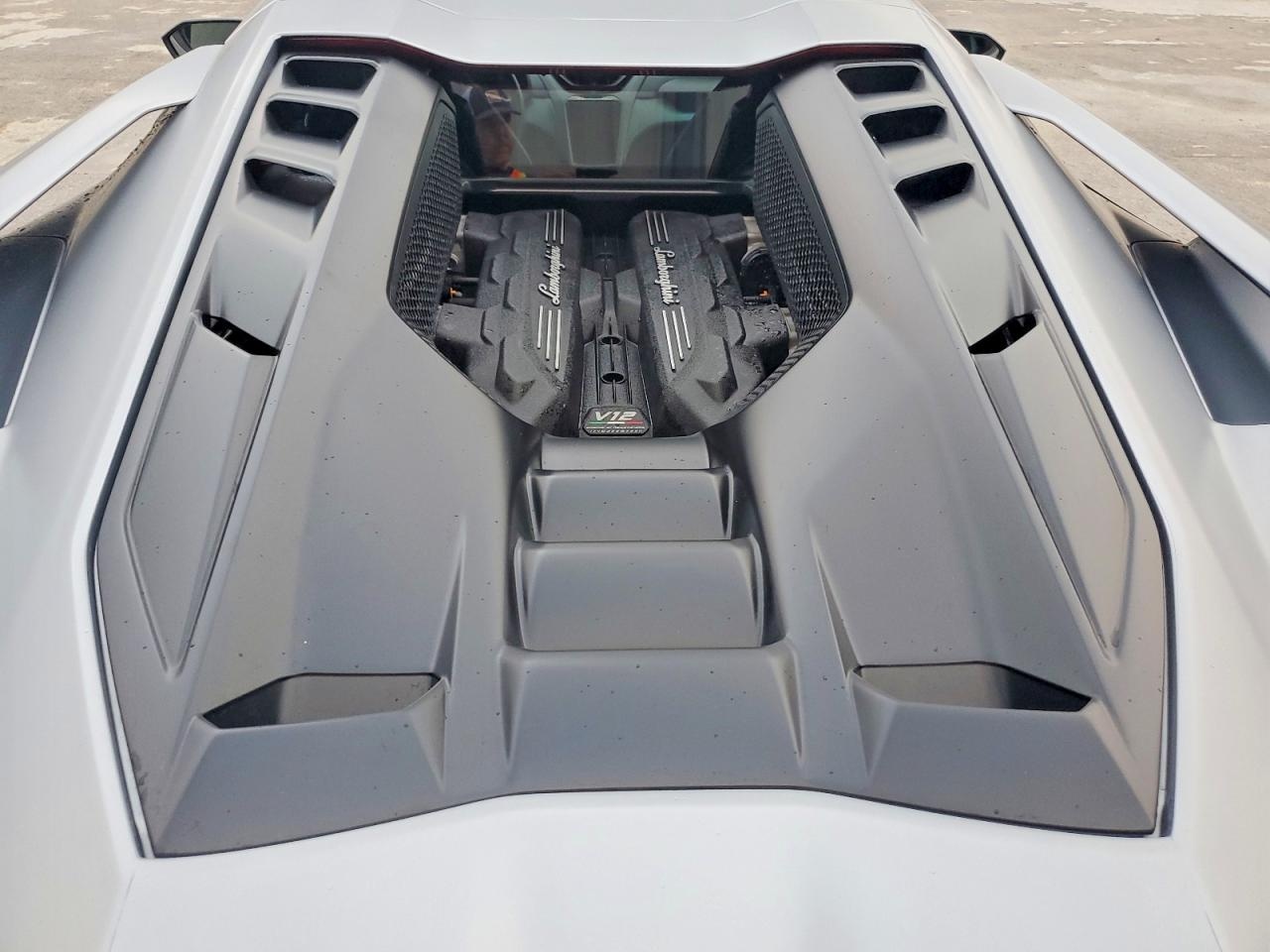 lamborghini,  revuelto,  lamborghini revuelto,  sieu xe,  tai nan,  dau gia anh 8