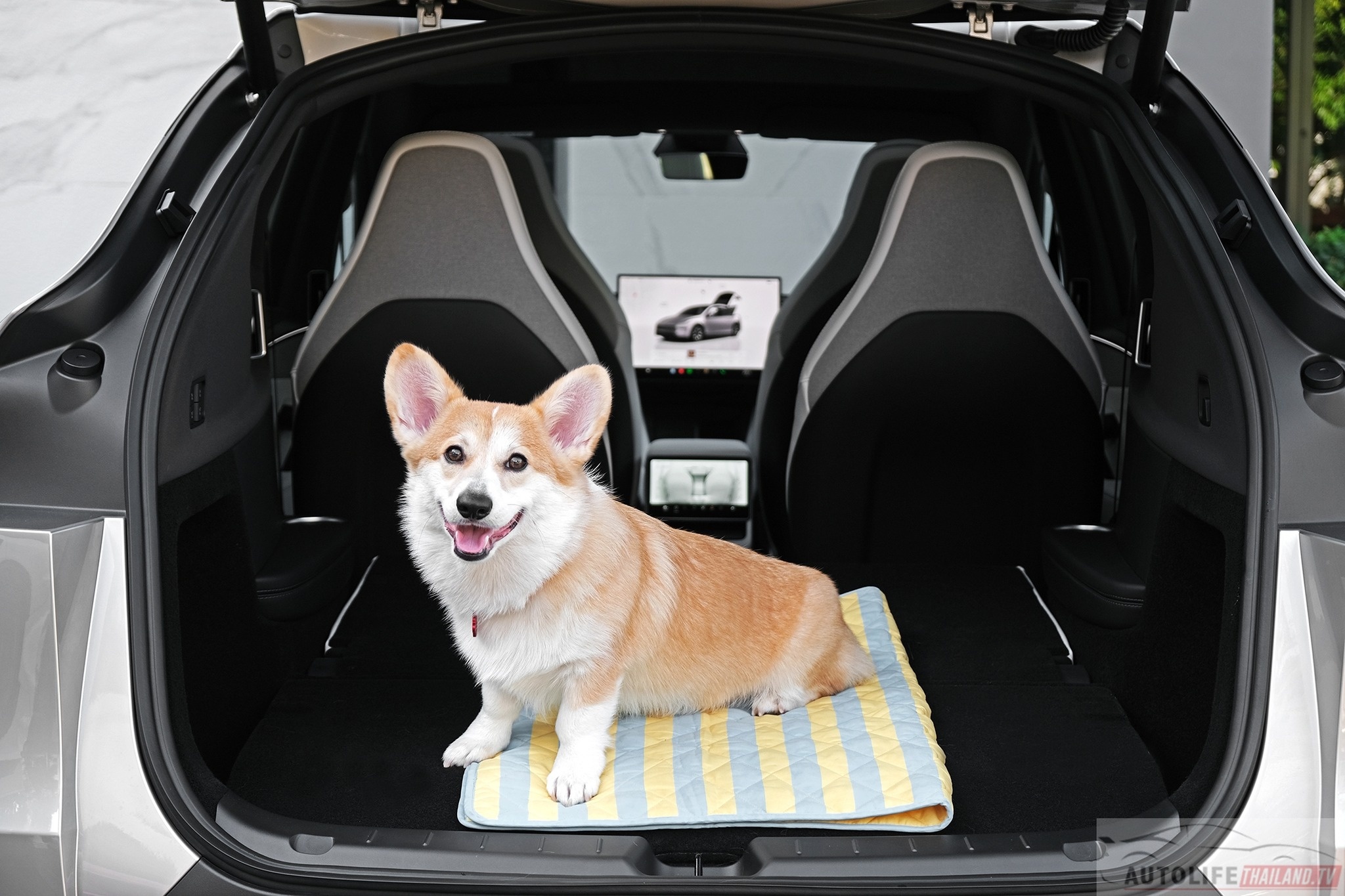 tesla,  tesla model y,  tesla model y l,  model y,  model y l,  thai lan,  xe dien,  ev,  trung quoc,  bims anh 21