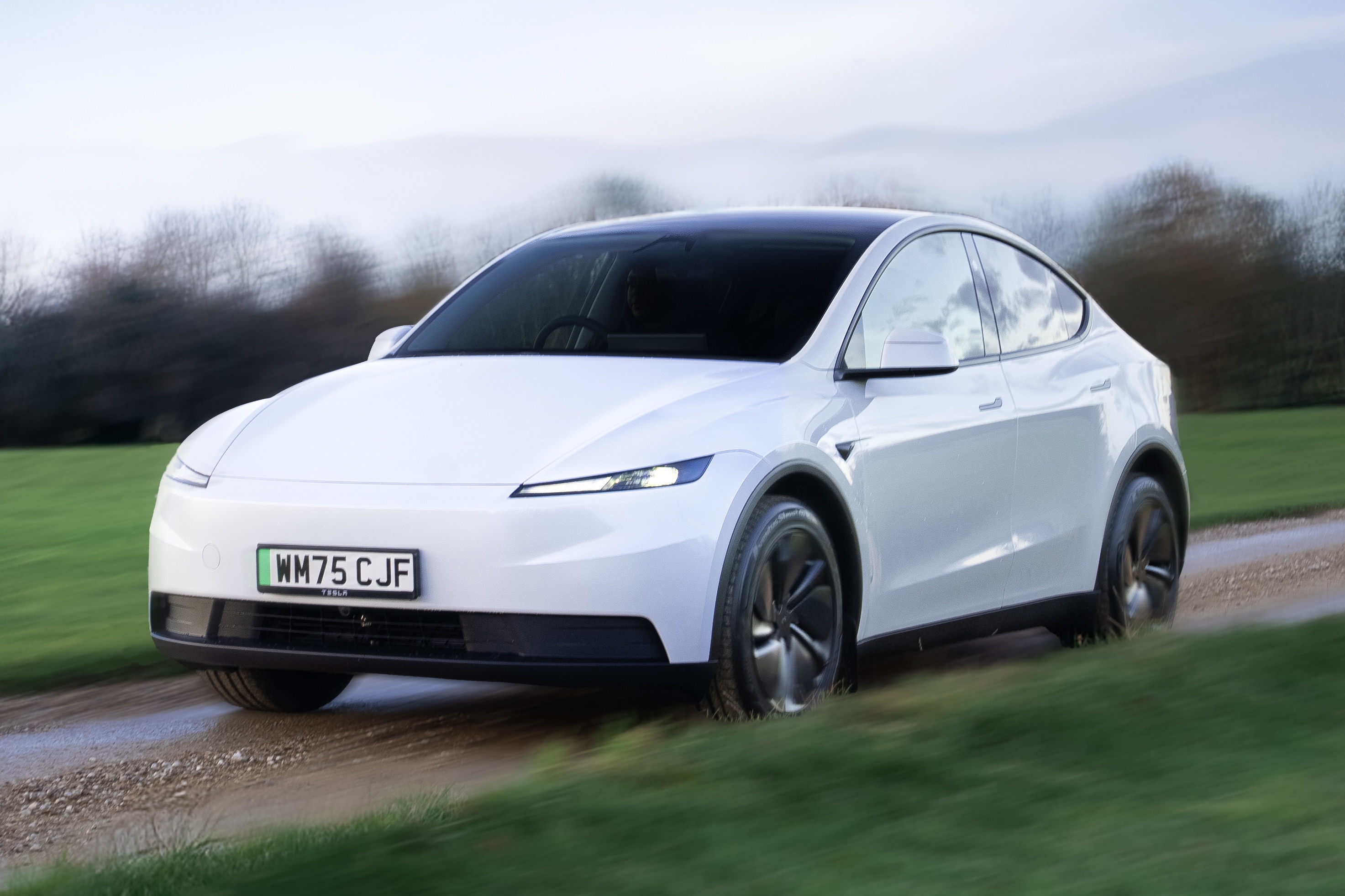 xe dien,  tesla,  gia re,  trung quoc,  ev,  elon musk,  canada,  my anh 3