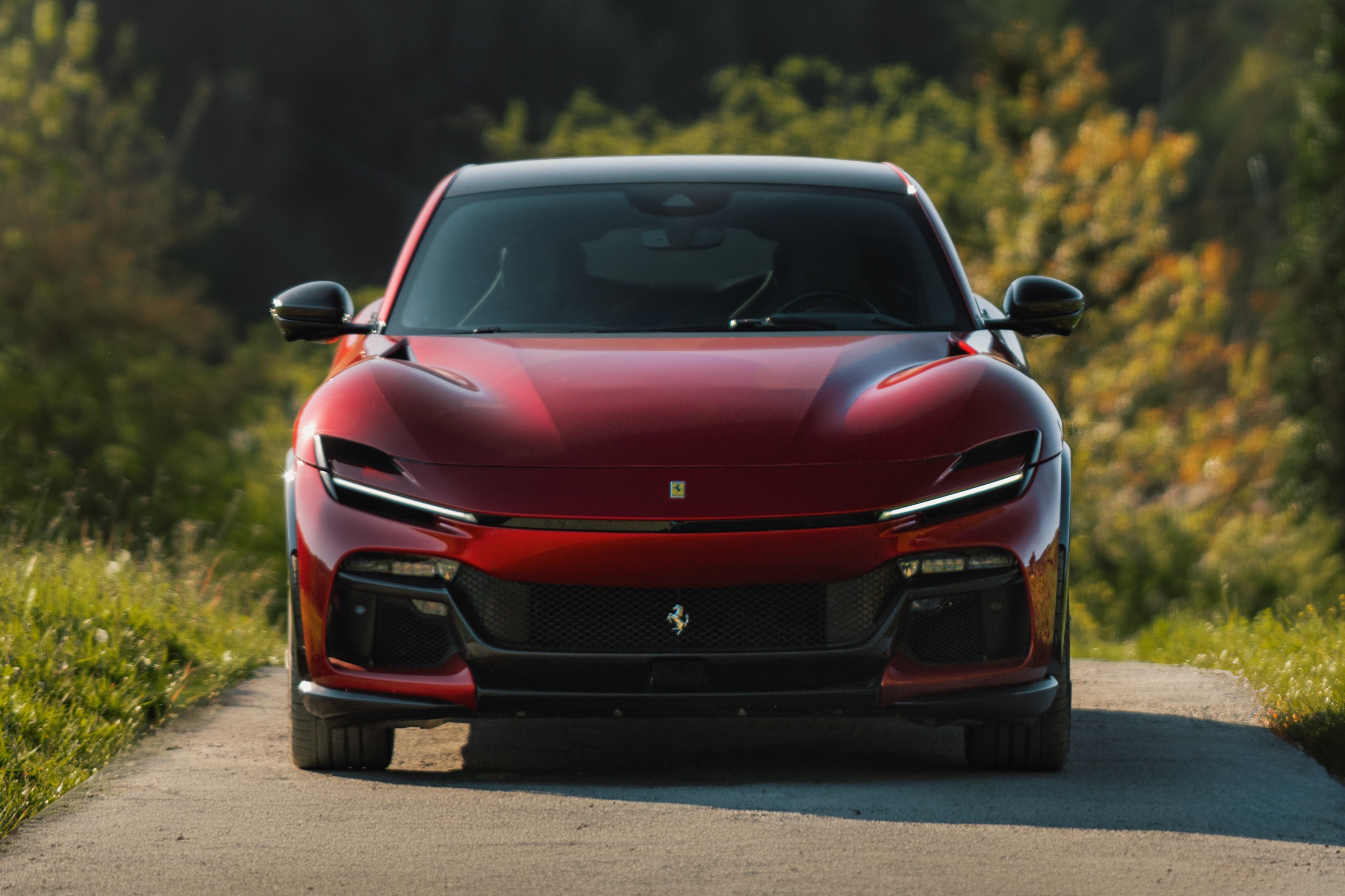 Ferrari Purosangue,  Ferrari,  Purosangue,  Handling Speciale,  Purosangue Handling Speciale,  Ferrari Purosangue Handling Speciale,  sieu xe,  italy,  maranello anh 3