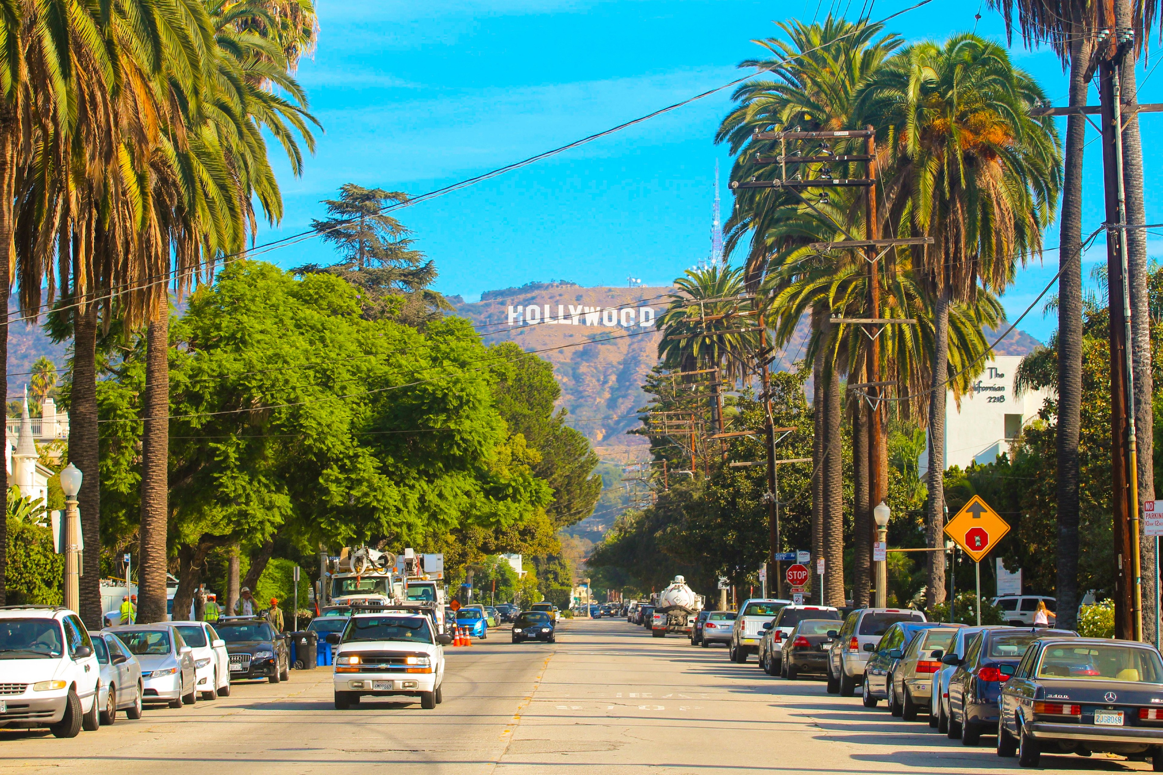 california,  my,  hang xe,  kinh doanh,  gm,  toyota,  tesla,  volkswagen,  hyundai anh 1