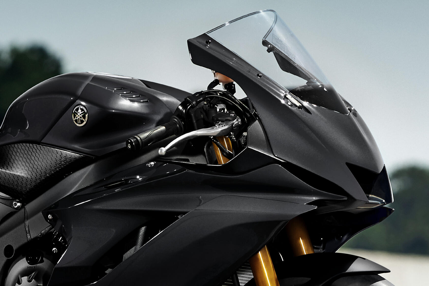 yamaha r6 race,  r6,  r6 race,  yamaha,  yamaha r6 race,  si&ecirc;u m&ocirc;t&ocirc;,  yzf-r6,  yzf ảnh 6