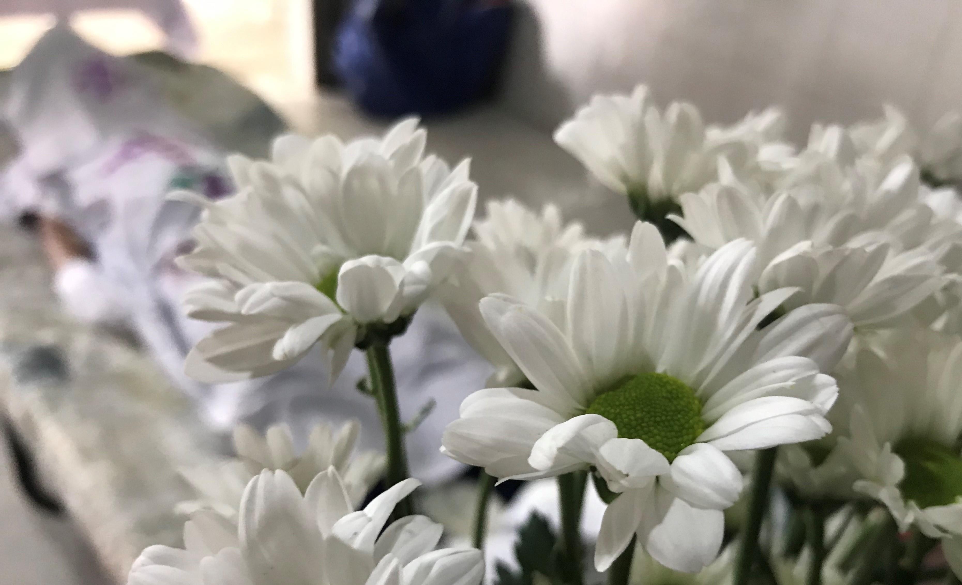 Khuc hat tien dua linh hon be trai 10 tuoi bi tu vong do dien giat hinh anh