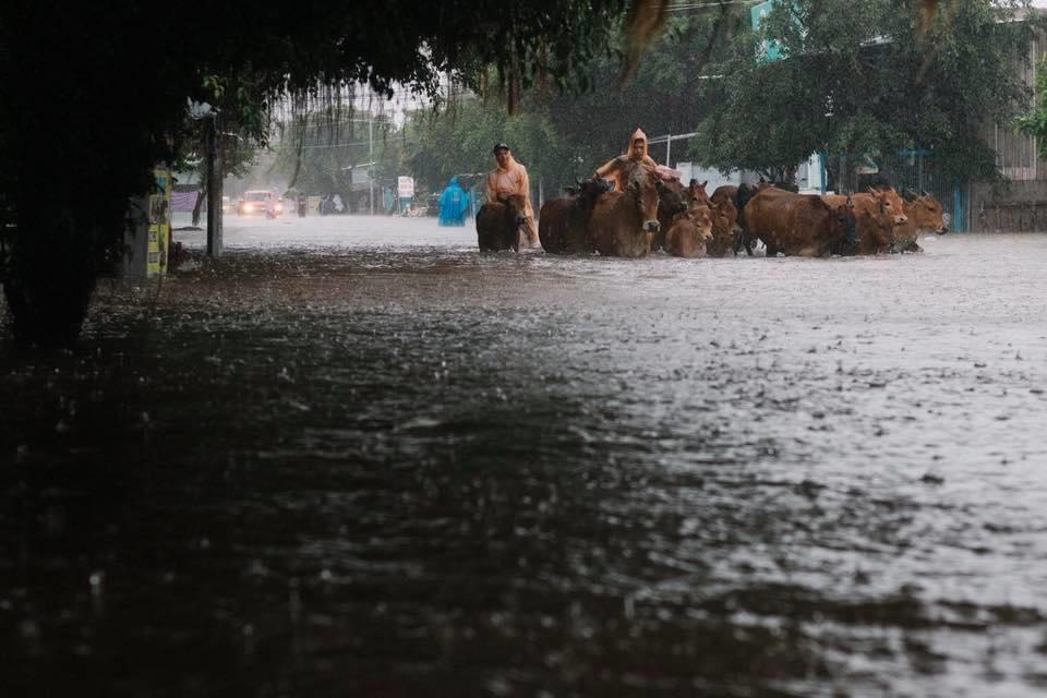 ngap lich su o Phu Quoc anh 1