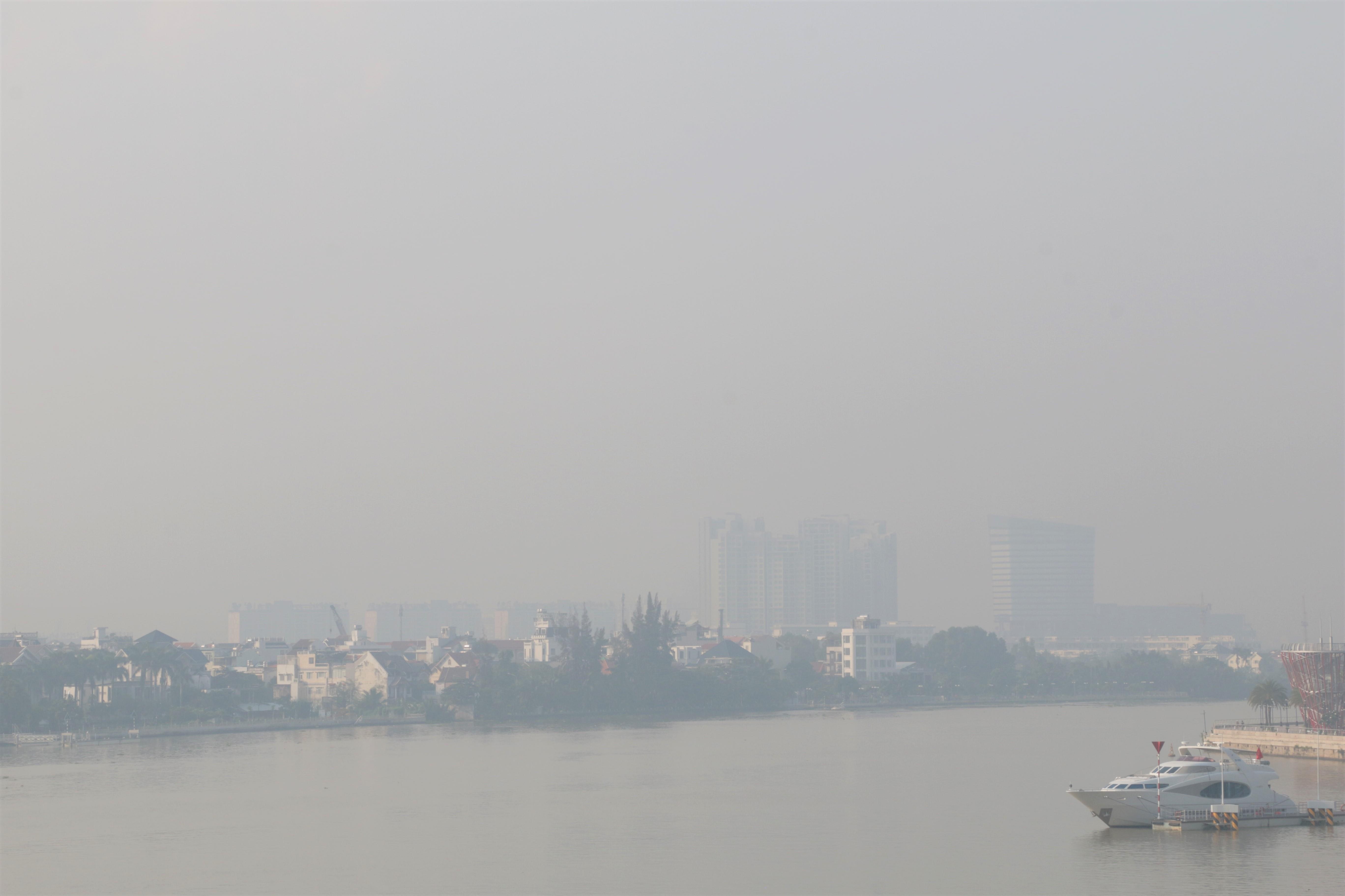 TP.HCM se lanh, chim trong suong mu hinh anh