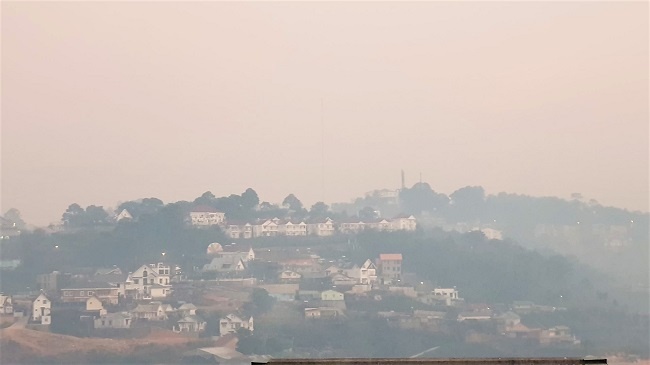 bai rac Cam Ly anh 1