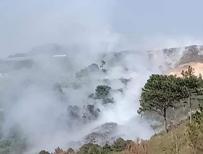 Da Lat chim trong khoi bui vi chay bai rac hinh anh