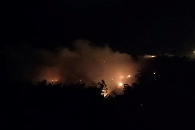 bai rac Cam Ly anh 3