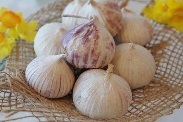 Doi buoi lam viec voi Facebooker Luong Hoang Anh ve vu toi Ly Son hinh anh