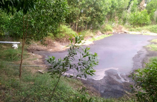 o nhiem moi truong nuoc anh 1