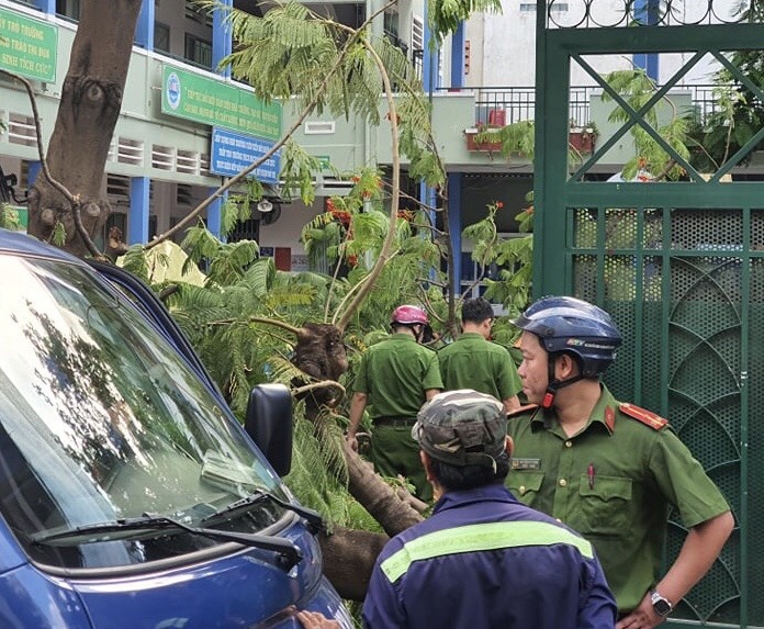 vu cay do khien 1 hoc sinh tu vong anh 1