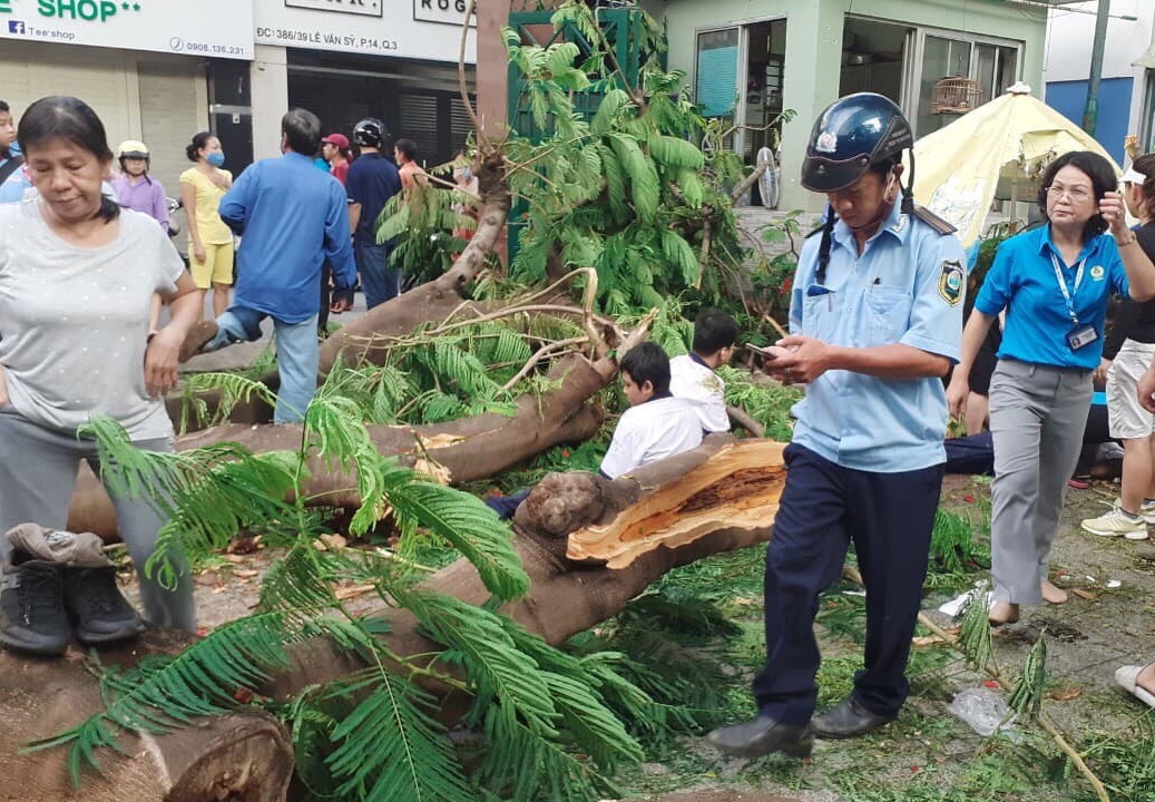 Thi the hoc sinh tu nan do cay phuong do o TP.HCM duoc dua ve nha hinh anh