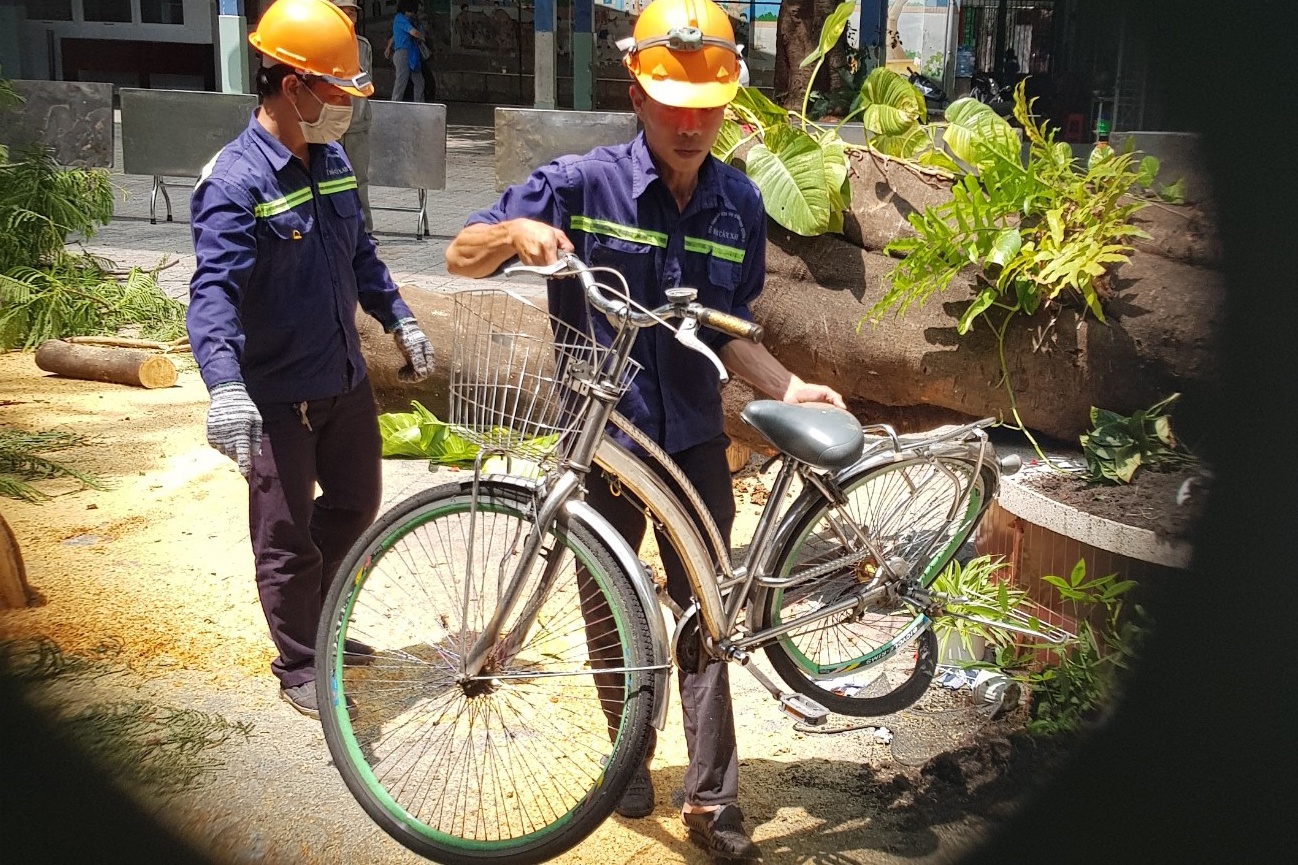 vu cay xanh gay do khien 1 hoc sinh tu nan anh 2