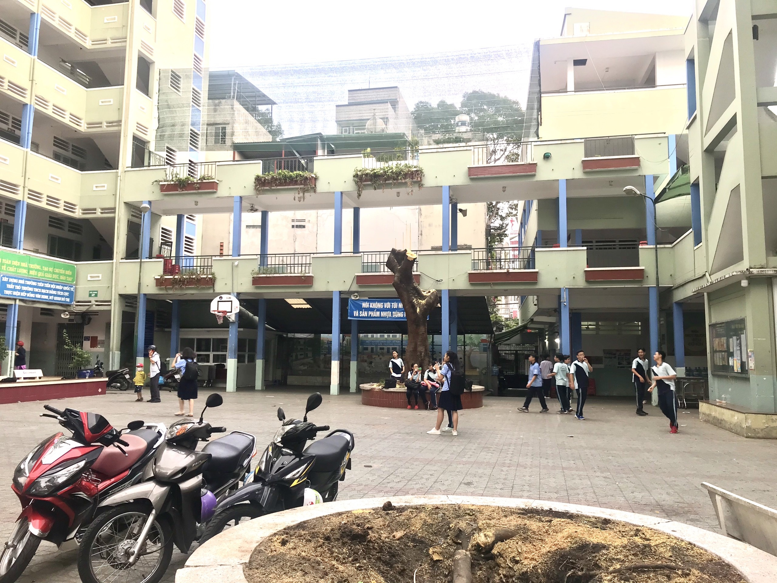 vu phuong do khien 1 hoc sinh tu nan anh 1