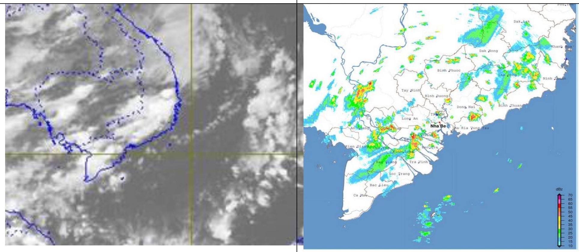mua lon TP.HCM anh 2