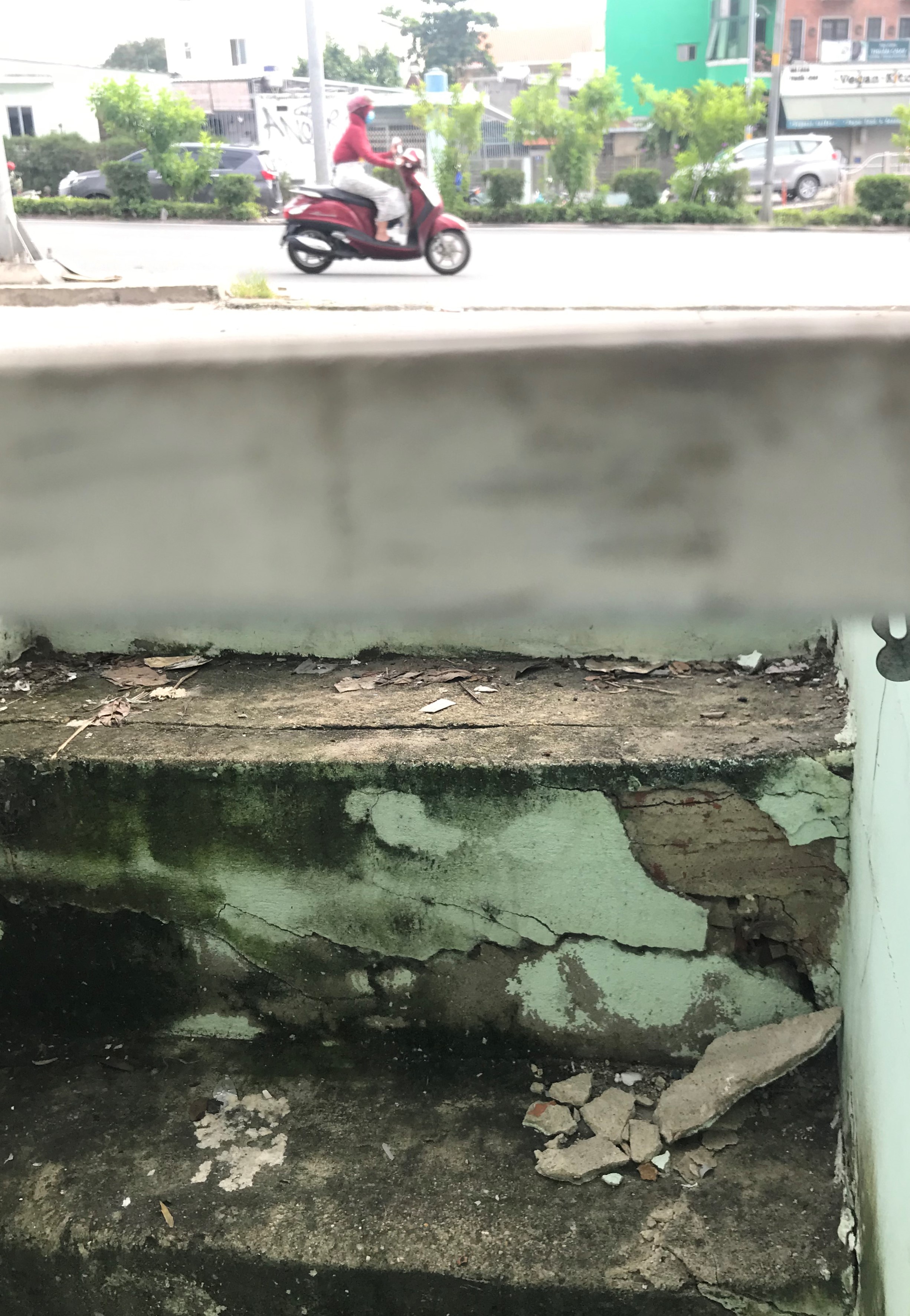 ron ngap Nguyen Huu Canh anh 3