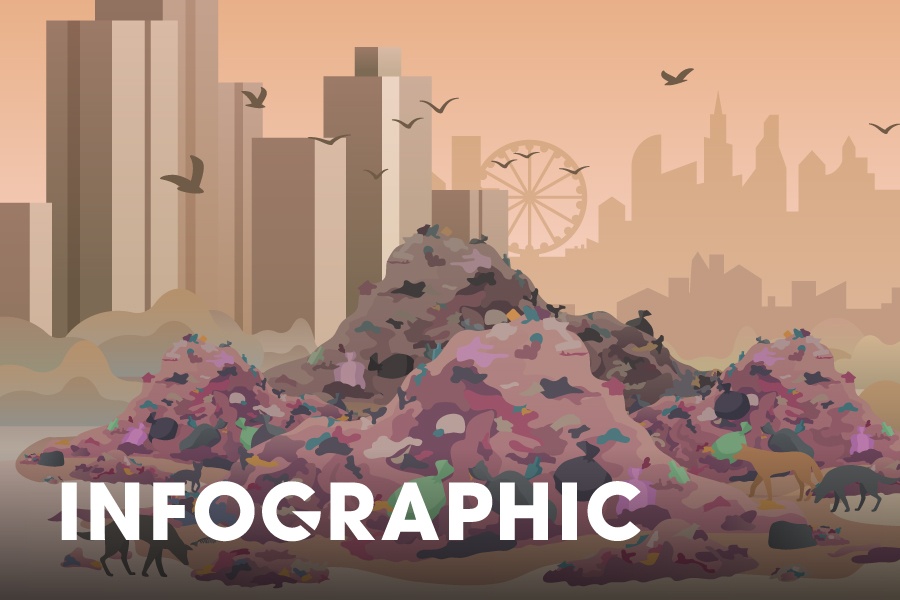 TP.HCM xu ly 9.200 tan rac sinh hoat moi ngay nhu the nao? hinh anh