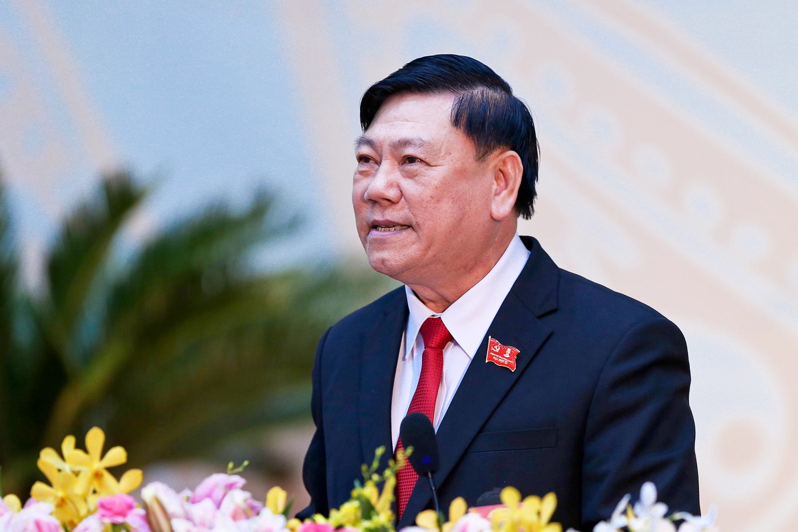 khai mac Dai hoi Dang tinh Vinh Long anh 8