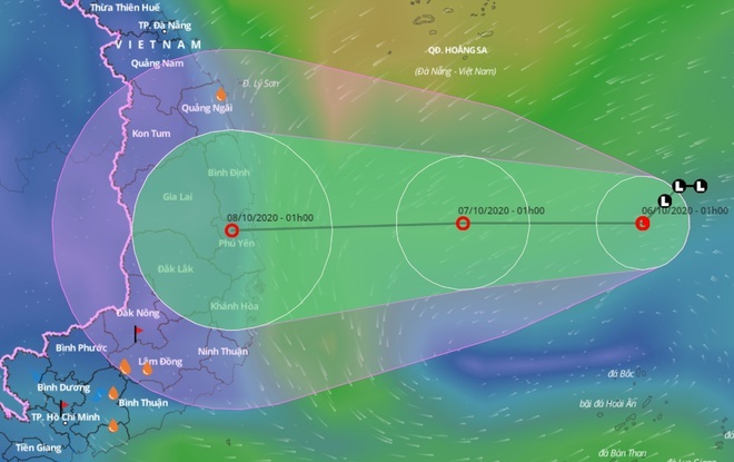 TP.HCM se lanh anh 1