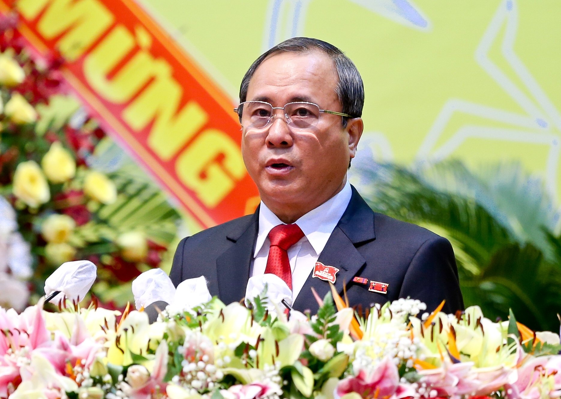 Dai hoi Dang bo Binh Duong anh 3