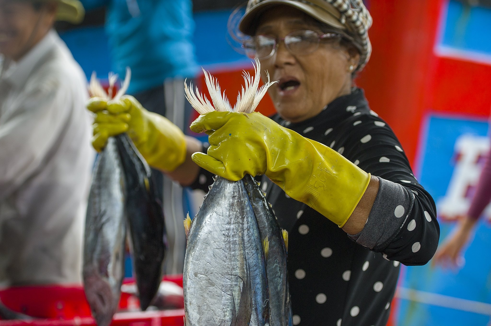 Ngu dan Tam Quan hoi ha chay bao so 9 hinh anh