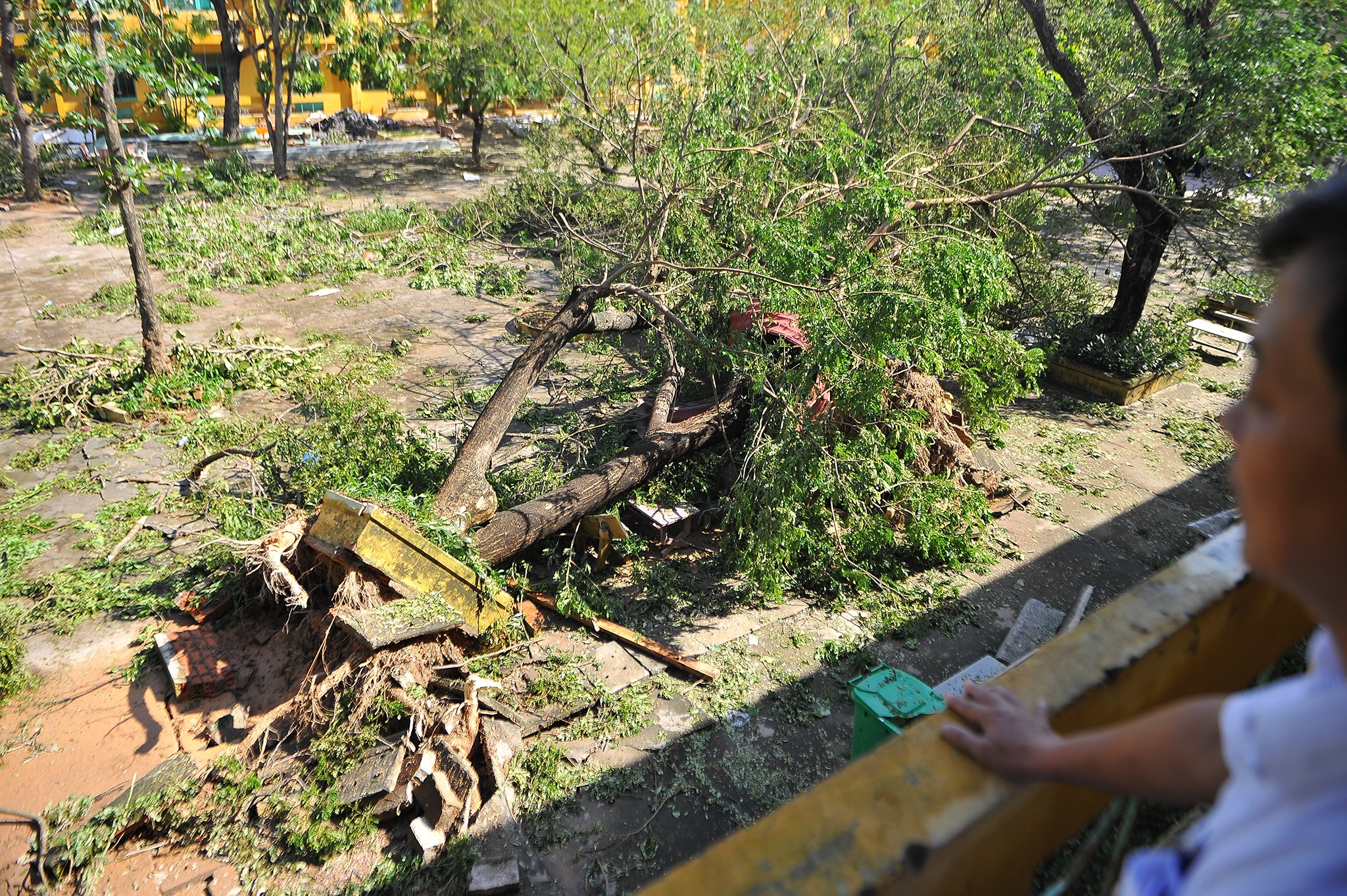 Ngay 20/11 khac moi nam o mien Trung hinh anh