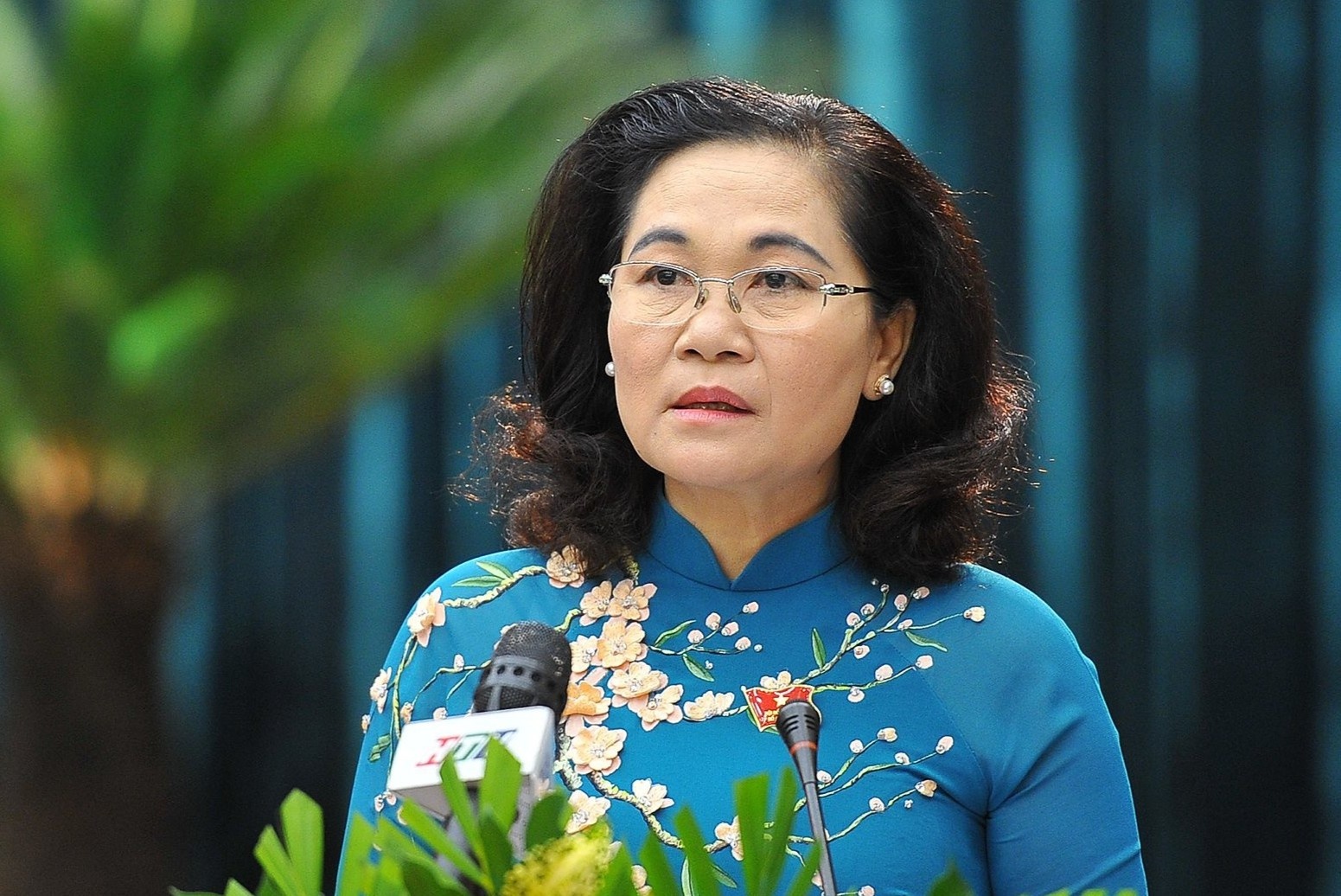 HDND TP.HCM khai mac ky hop cuoi nam hinh anh