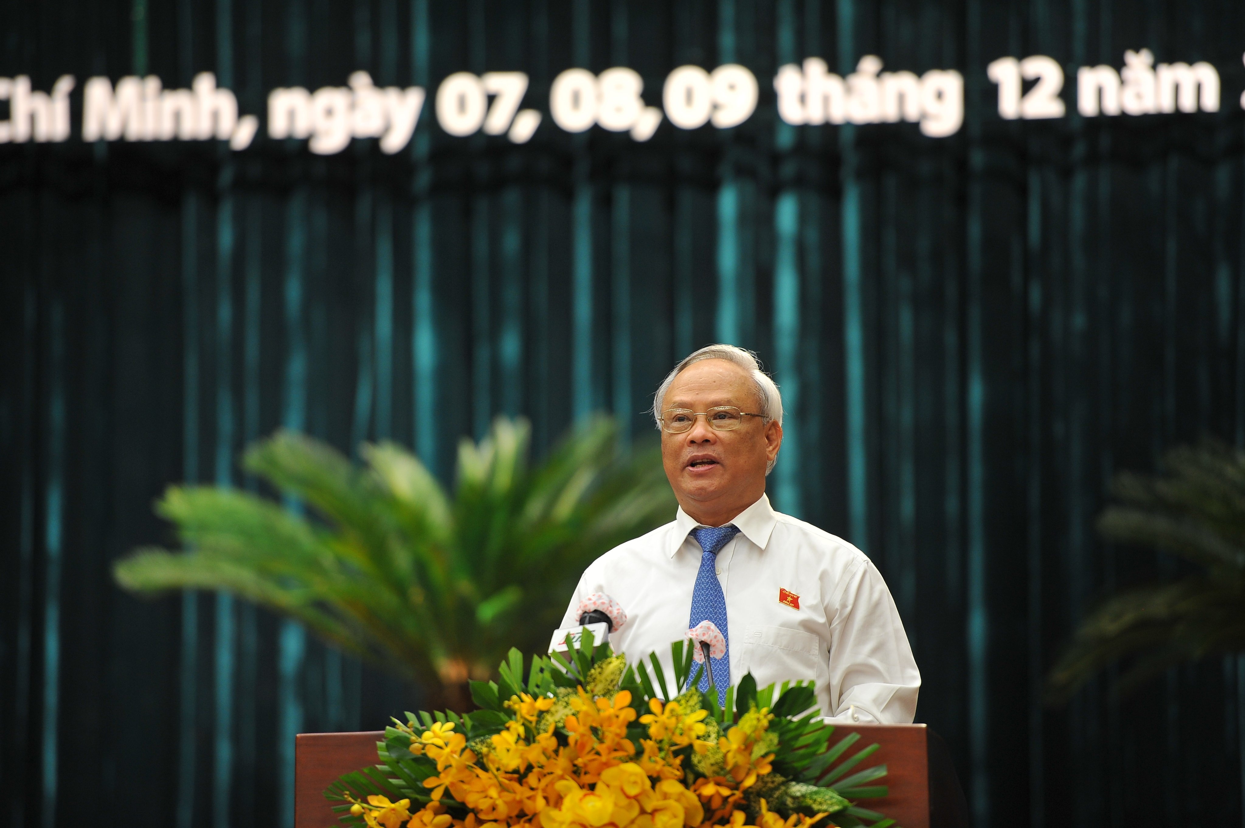 hop HDND TP.HCM anh 1