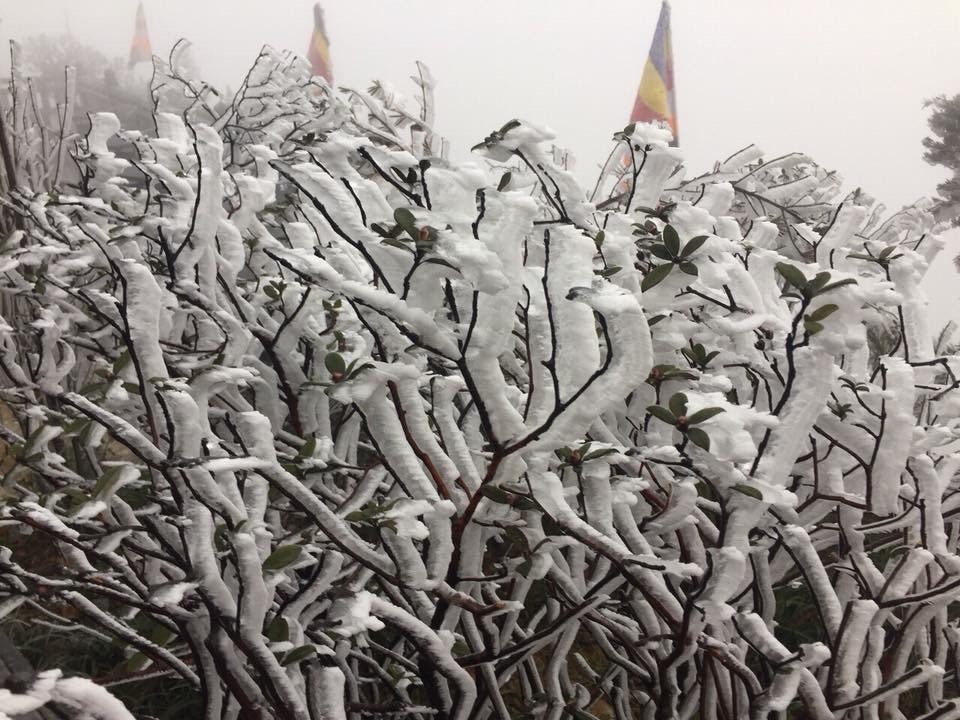 ret dam ret hai o Bac bo anh 2