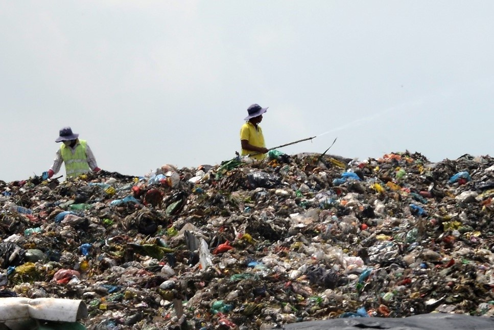 GDP xanh cho TP.HCM anh 1