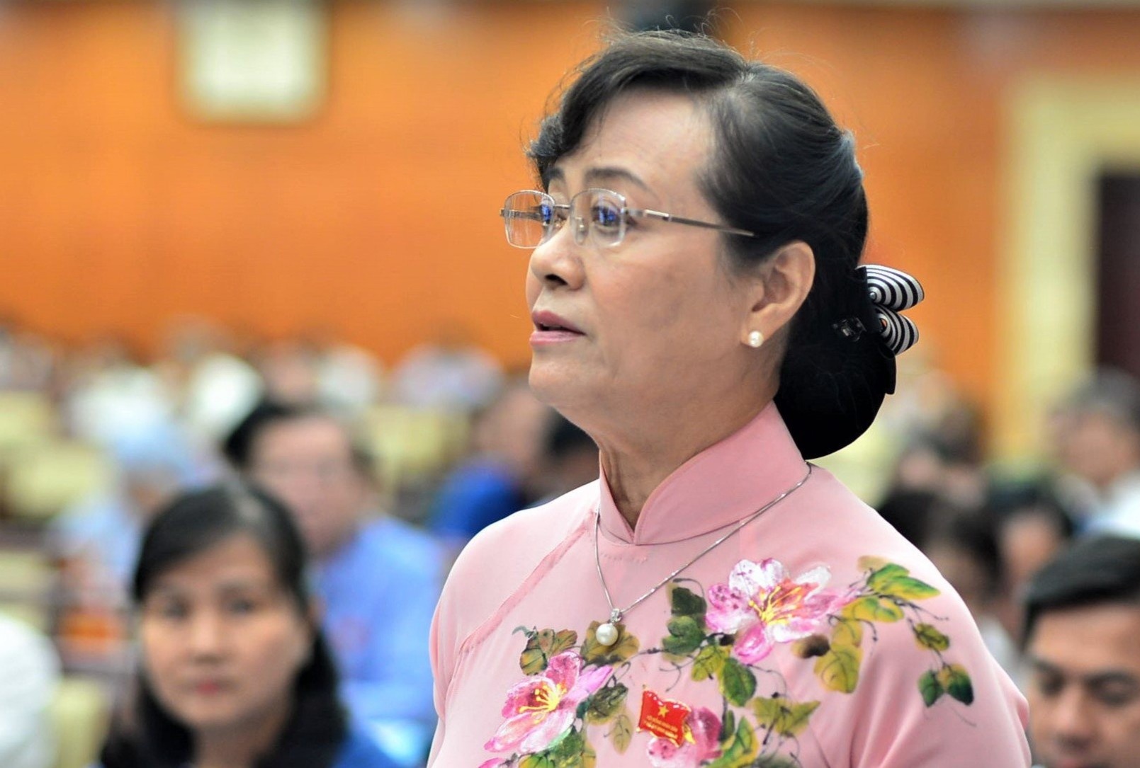 Dan Binh Quoi - Thanh Da cho quy hoach nua doi nguoi hinh anh