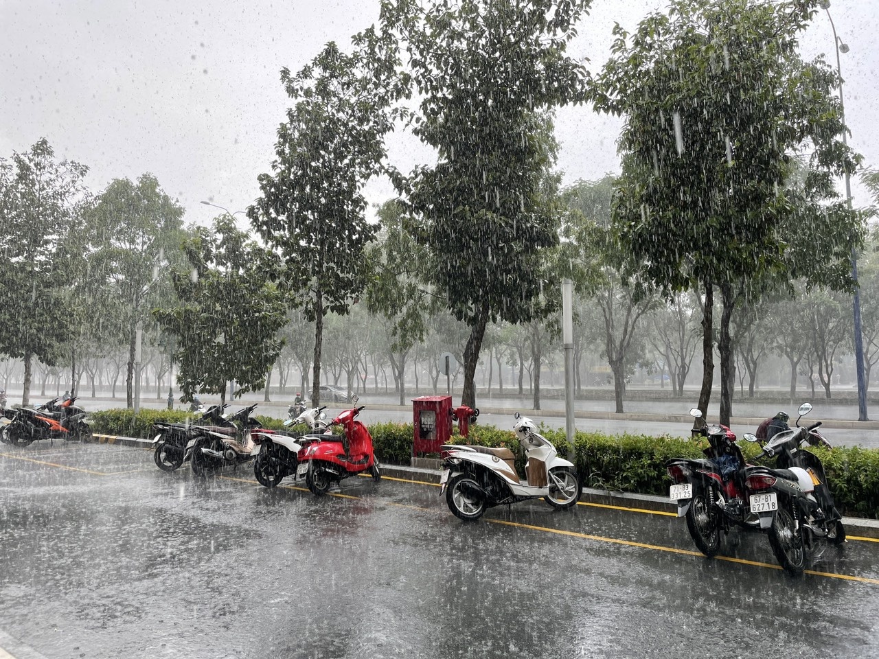 mua trai mua TP.HCM anh 1