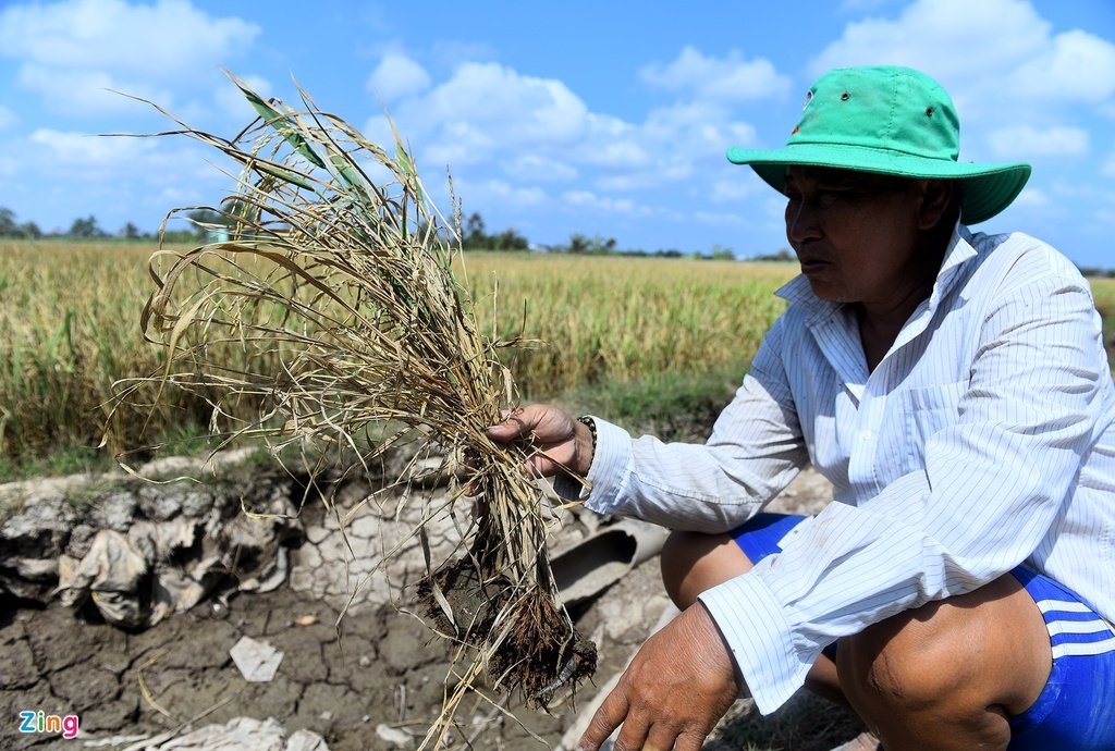 nang nong va xam nhap man anh 3