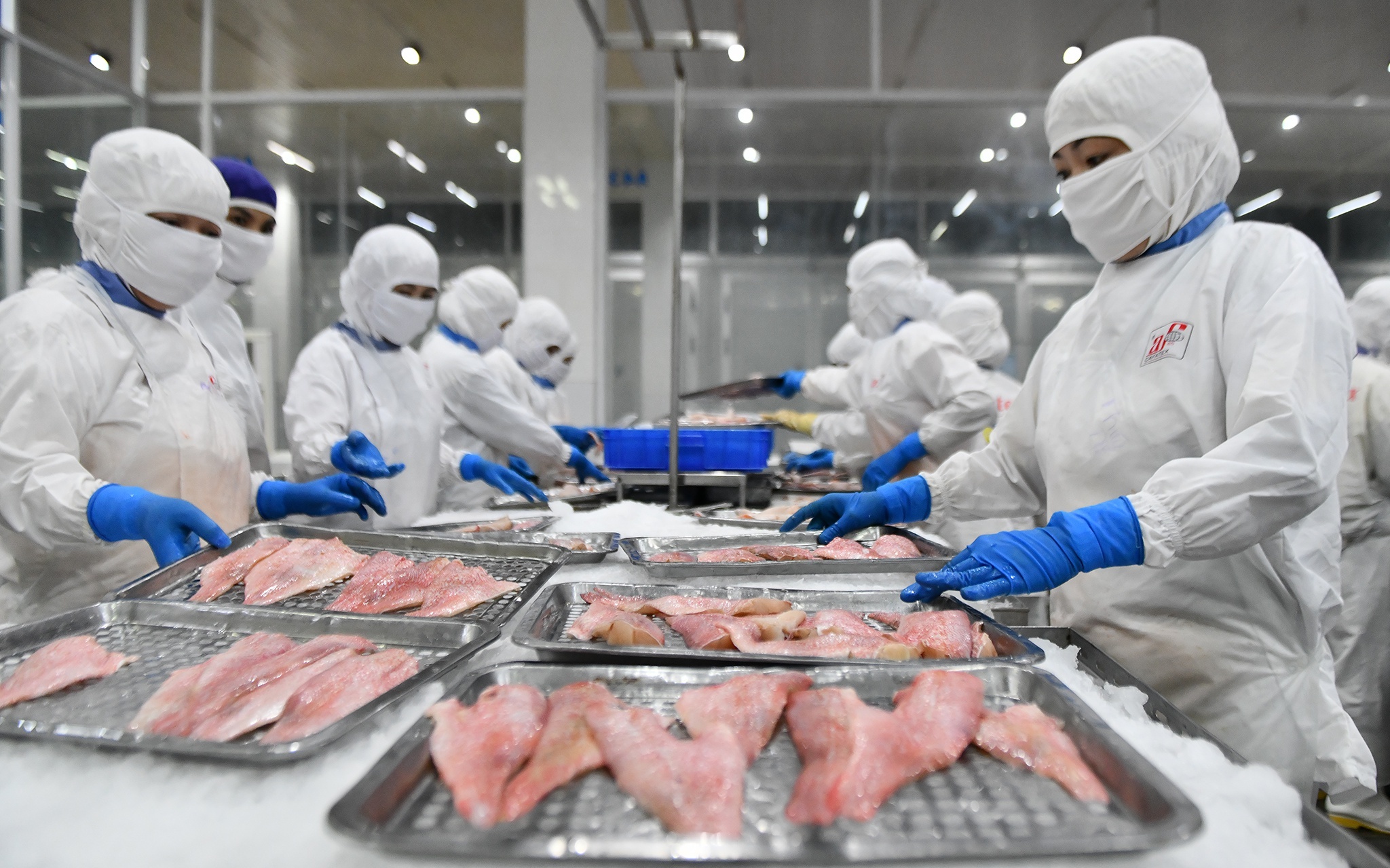 Vi the Dong bang song Cuu Long anh 4