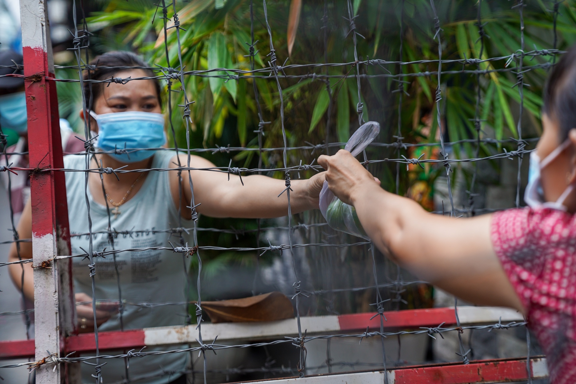 UBND TP.HCM yeu cau chan chinh viec lay mau, quan ly o khu phong toa hinh anh