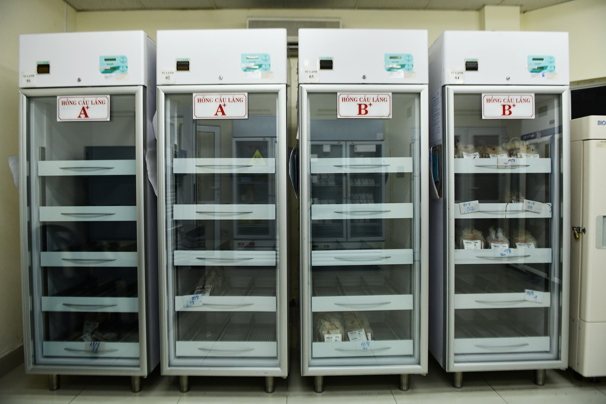 hien mau nhan dao tai TP.HCM anh 1