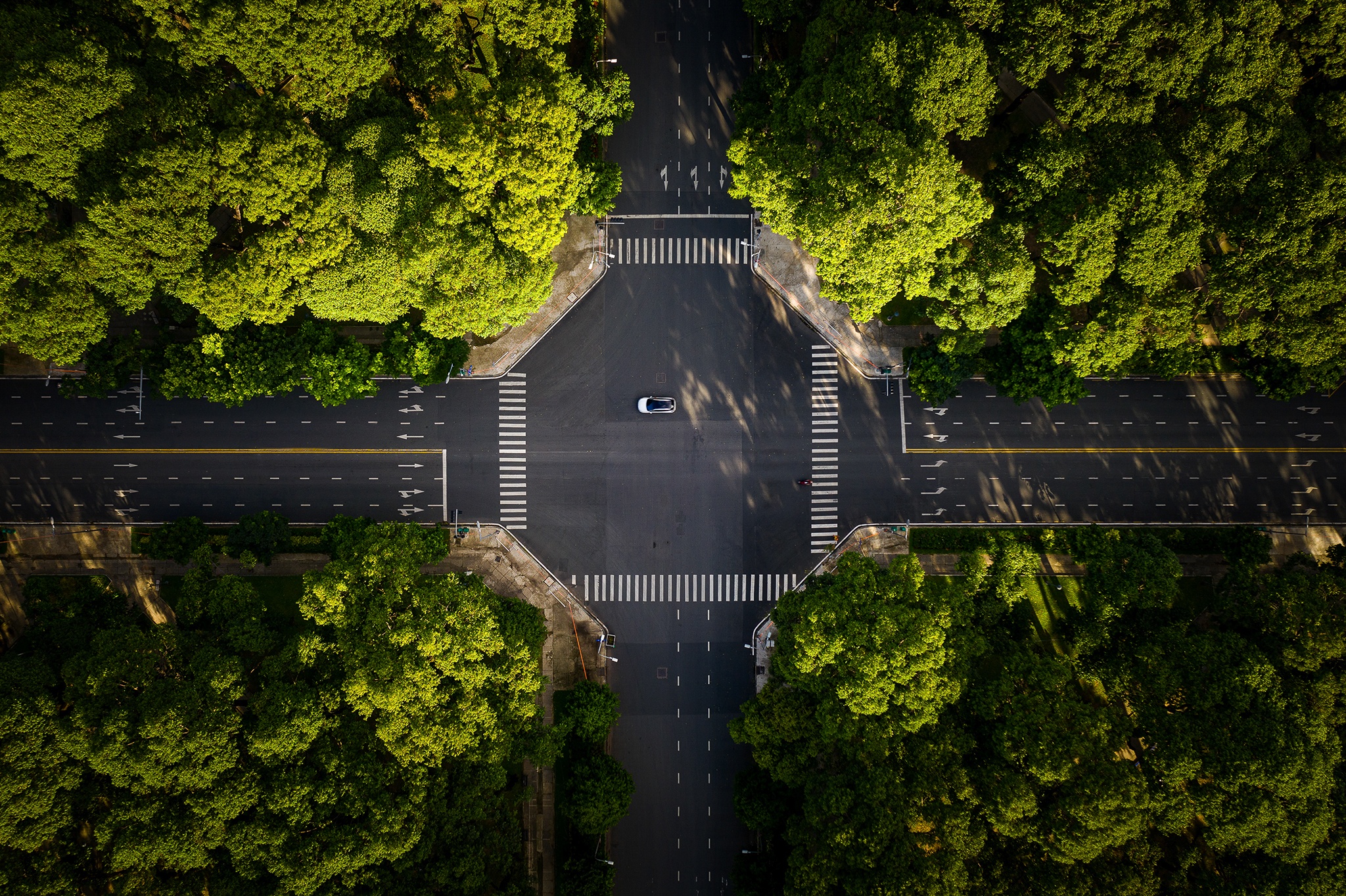 Chung Delta xoa muc tieu 'Zero Covid', TP.HCM can lam gi khi mo cua? hinh anh