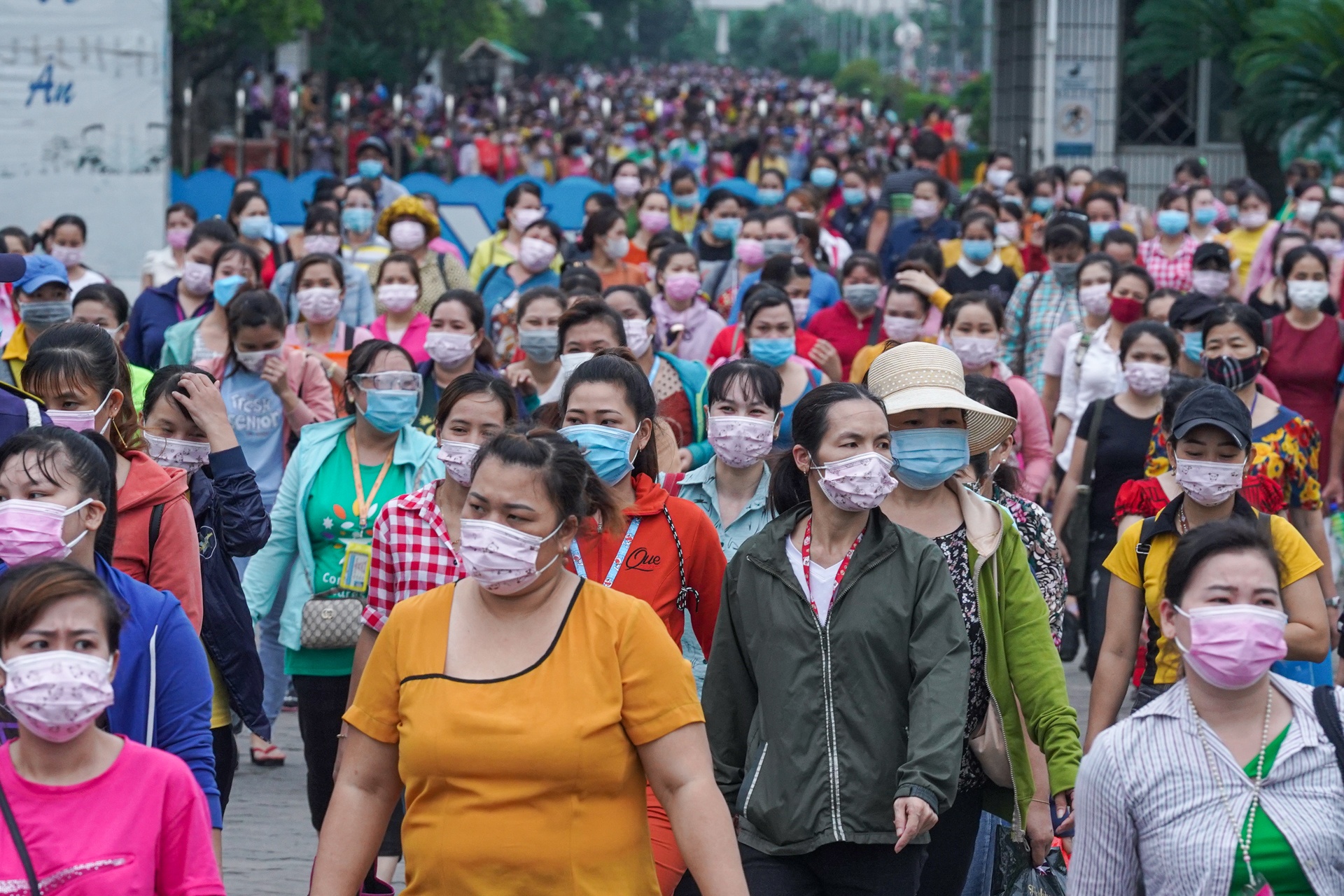 chong dich tinh toi lien ket vung anh 2