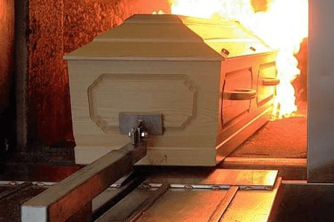 So TNMT TP.HCM de xuat dau thau dich vu xu ly xac, cot vo thua nhan hinh anh