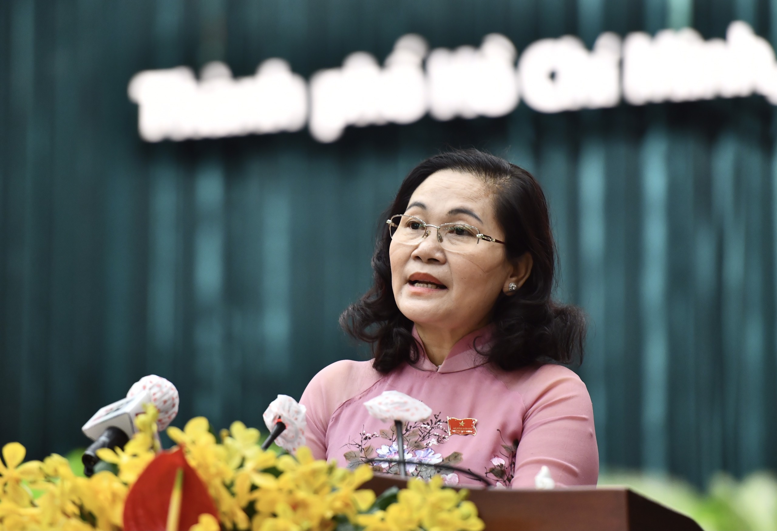 giai ngan von dau tu cong TP.HCM anh 1