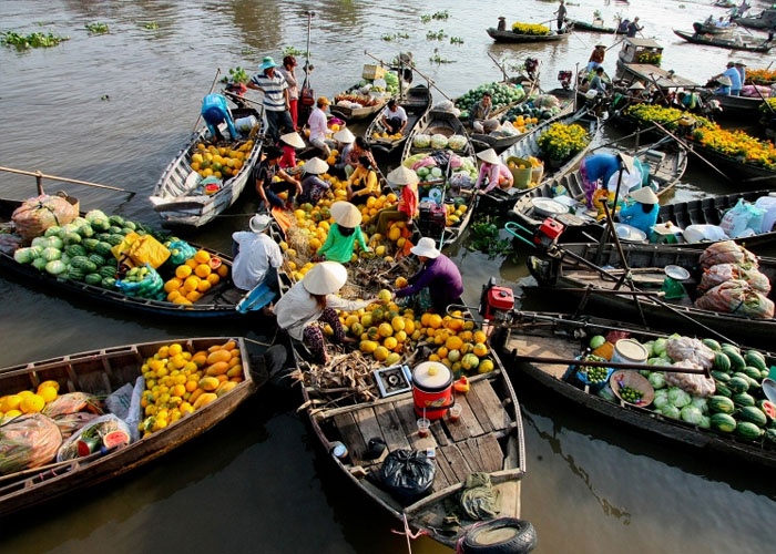 Vi sao lien ket vung DBSCL cham phat trien? hinh anh