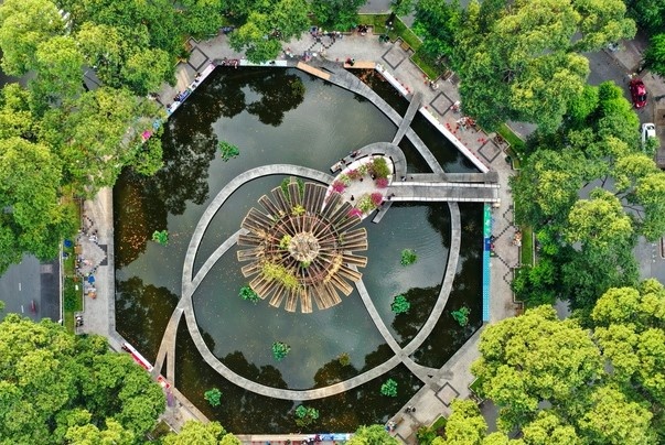 TP.HCM thu hoi gan 9.000 m2 'dat vang' gan ho Con Rua hinh anh