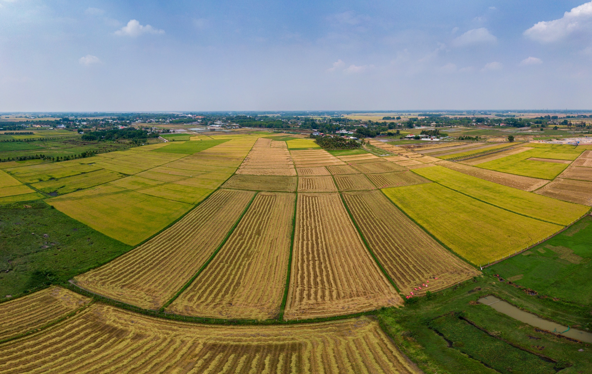dua Cu Chi len thanh pho anh 2