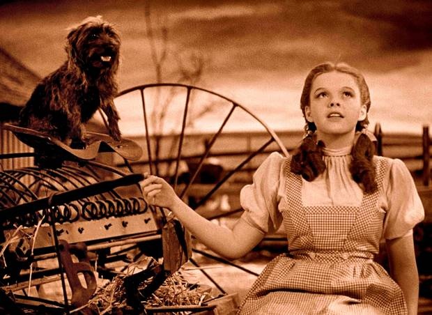 review phim Judy anh 2